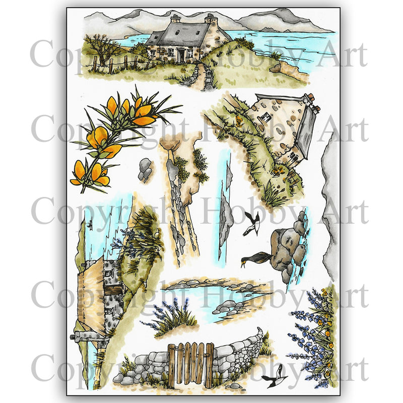 Hobby Art Stamps - Clear Polymer Stamp Set - A5 - Croft Scene It