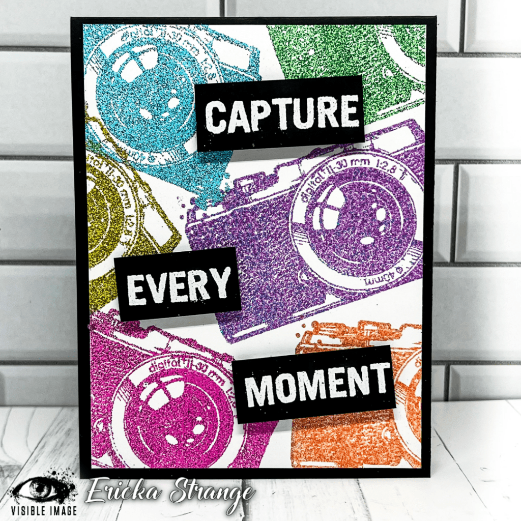 Visible Image - A6 - Clear Polymer Stamp Set - Capture Every Moment (retired)