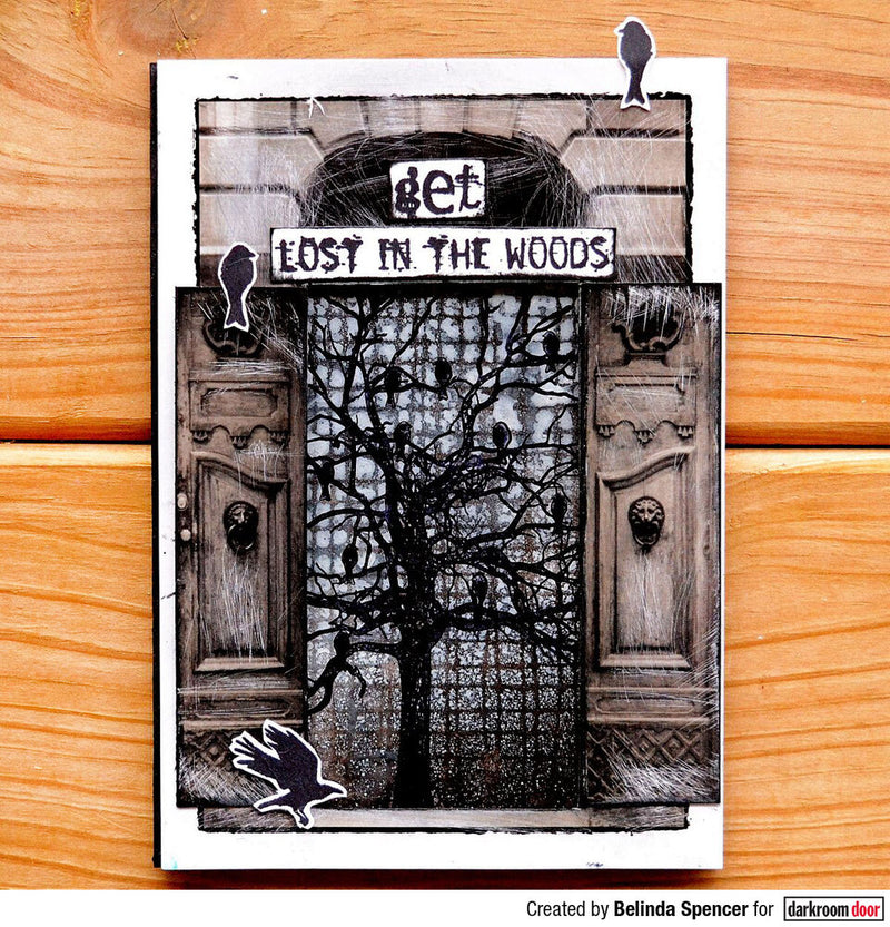 Darkroom Door - Rubber Stamp Set - Twisted Tree