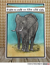 Darkroom Door - Rubber Stamp Set - Wild Africa Vol. 3