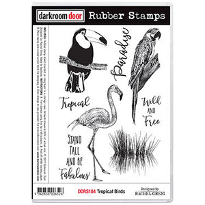 Darkroom Door - Rubber Stamp Set - Tropical Birds