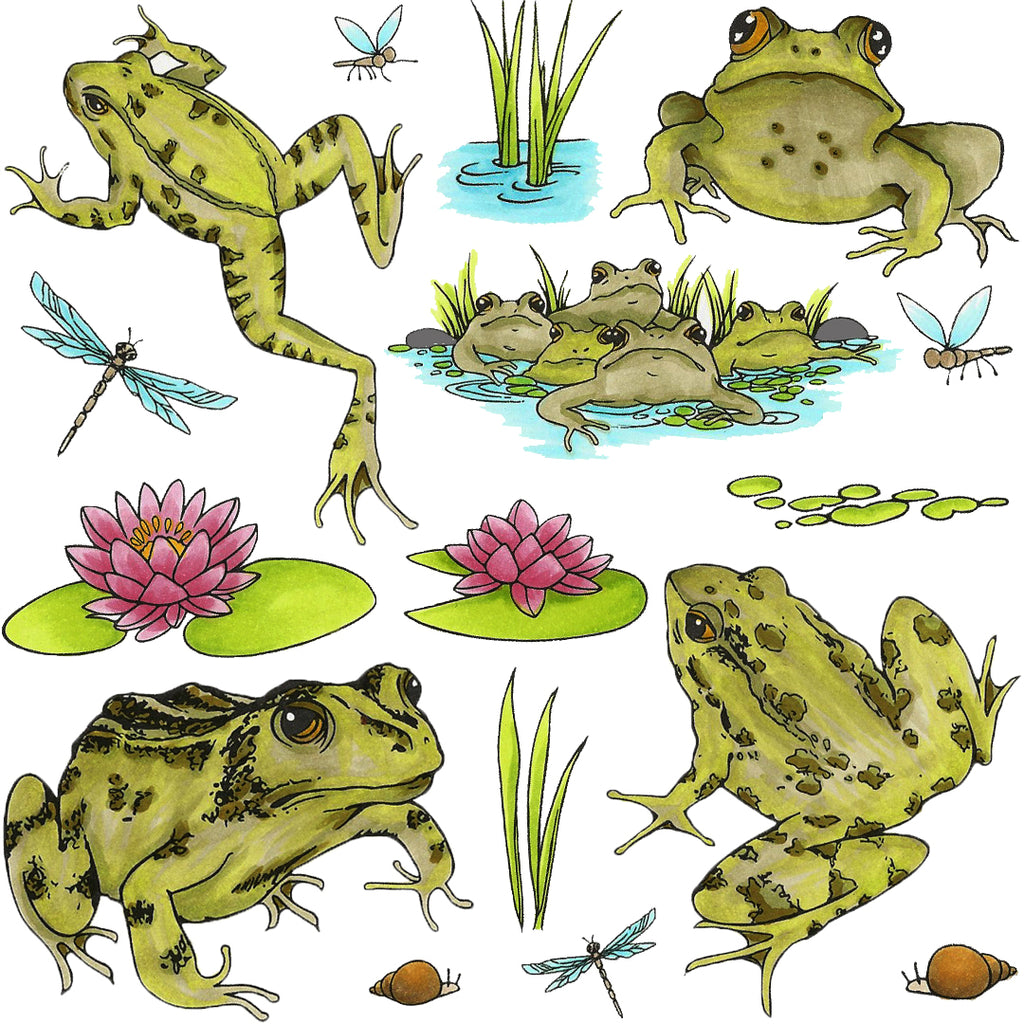 Hobby Art Stamps - Clear Polymer Stamp Set - A5 - Frogs