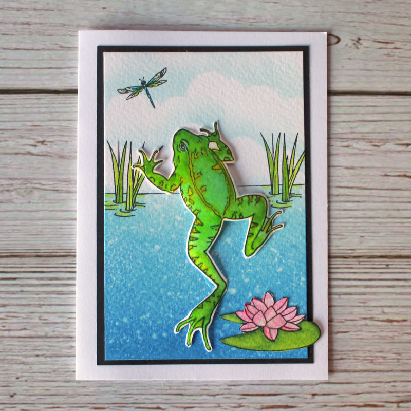 Hobby Art Stamps - Clear Polymer Stamp Set - A5 - Frogs