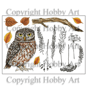 Hobby Art Stamps - Clear Polymer Stamp Set - Little Owl
