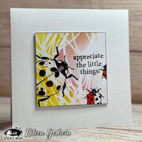 Visible Image - Clear Polymer Stamp Set - Little Ladybirds