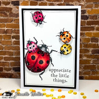 Visible Image - Clear Polymer Stamp Set - Little Ladybirds