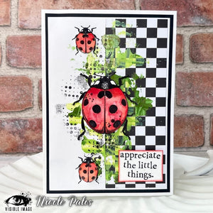 Visible Image - Clear Polymer Stamp Set - Little Ladybirds