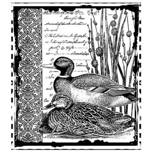 Crafty Individuals - Unmounted Rubber Stamp - 297 - Mallard Duck Pair