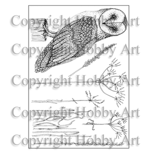 Hobby Art Stamps - Clear Polymer Stamp Set - Oliver Owl