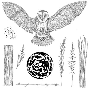 Hobby Art Stamps - Clear Polymer Stamp Set - Orla Owl