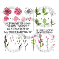 Polkadoodles - Clear Polymer Stamp Set - Transitions Layering Stamps - Spring Rose