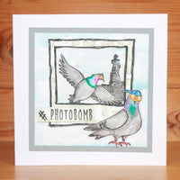 Hobby Art Stamps - Clear Polymer Stamp Set - A5 - Funky Pigeons