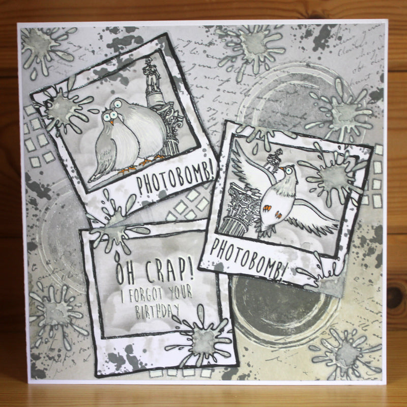 Hobby Art Stamps - Clear Polymer Stamp Set - A5 - Funky Pigeons