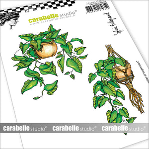 Carabelle Studio - A6 - Rubber Cling Stamp Set - Sylvie Belgrand - Hanging Plants