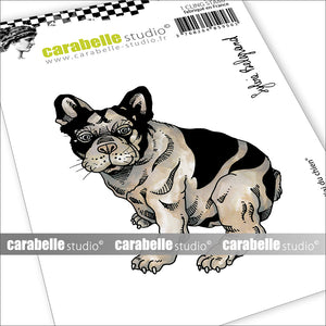 Carabelle Studio - Rubber Cling Stamp A7 - I Have a Dog - Sylvie Belgrand