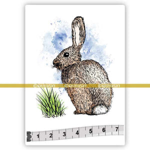 Katzelkraft - SOLO172 - Unmounted Red Rubber Stamp - Young Rabbit
