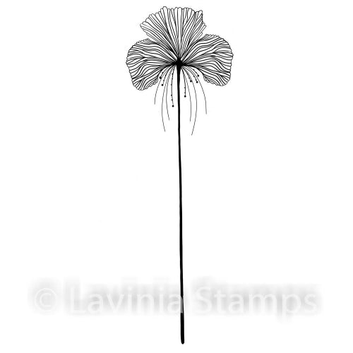 Lavinia - Single Fairy Orchid - Clear Polymer Stamp