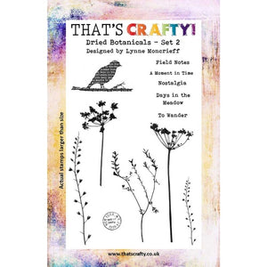 That's Crafty! - Lynne Moncrieff - Clear Stamp Set - Dried Botanicals Set 2