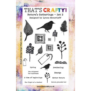 That's Crafty! - Lynne Moncrieff - Clear Stamp Set - Nature's Gatherings Set 2