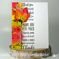 Visible Image -  A6 - Clear Polymer Stamp Set - Creative Chaos