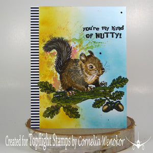 Visible Image - A6 - Clear Polymer Stamp Set - Nuts About Squirrels