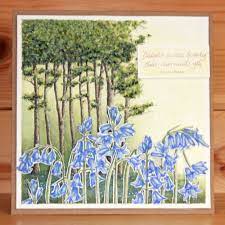 Hobby Art Stamps - Clear Polymer Stamp Set - A5 - Bluebell Wood