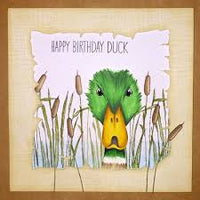 Hobby Art Stamps - Clear Polymer Stamp Set - Quackers