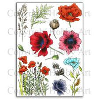 Hobby Art Stamps - Clear Polymer Stamp Set - A5 - Poppies