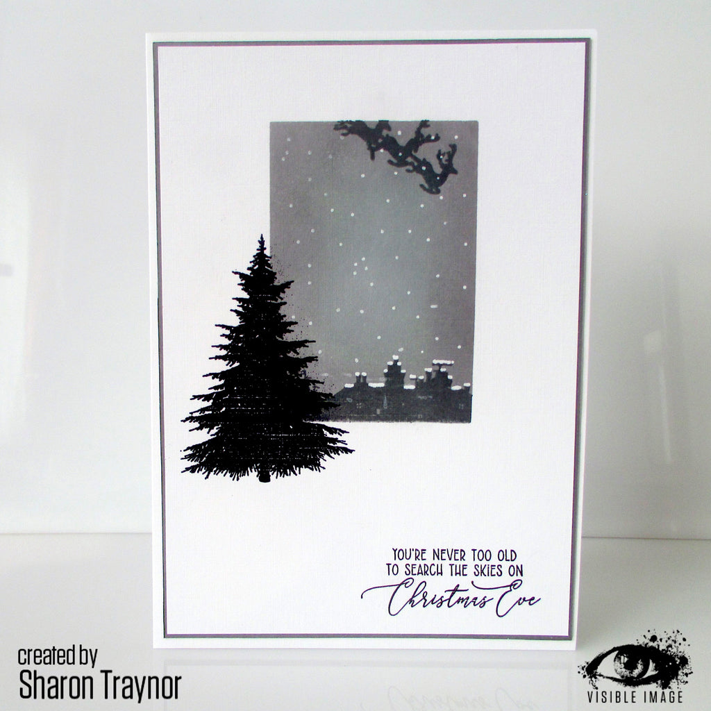 Visible Image - A6 - Clear Polymer Stamp Set - Sentimental Christmas