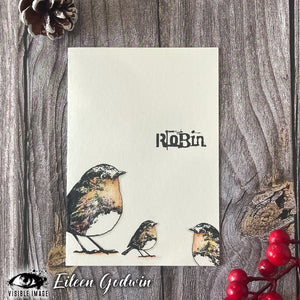 Visible Image - A6 - Clear Polymer Stamp Set - Christmas Robin