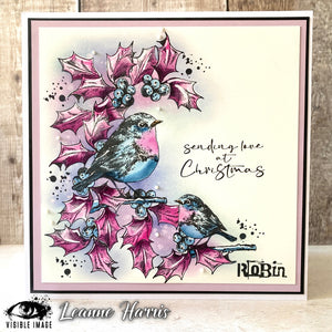 Visible Image - A6 - Clear Polymer Stamp Set - Christmas Robin