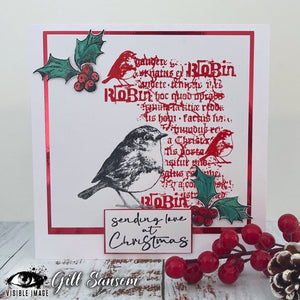 Visible Image - A6 - Clear Polymer Stamp Set - Distressed Christmas