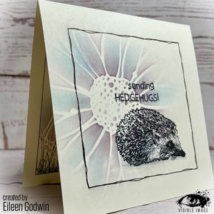 Visible Image - A6 - Clear Polymer Stamp Set -  Hedgehog Hugs - Clear Polymer Stamp Set