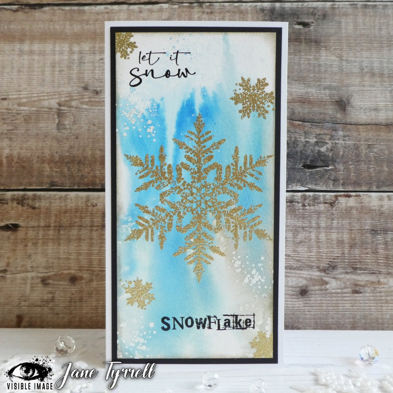 Visible Image - A6 - Clear Polymer Stamp Set - Let It Snow