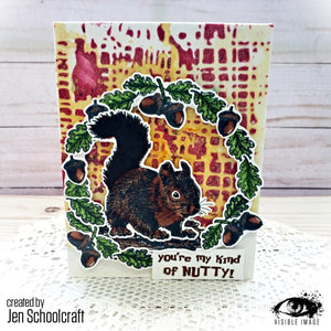 Visible Image - A6 - Clear Polymer Stamp Set - Nuts About Squirrels