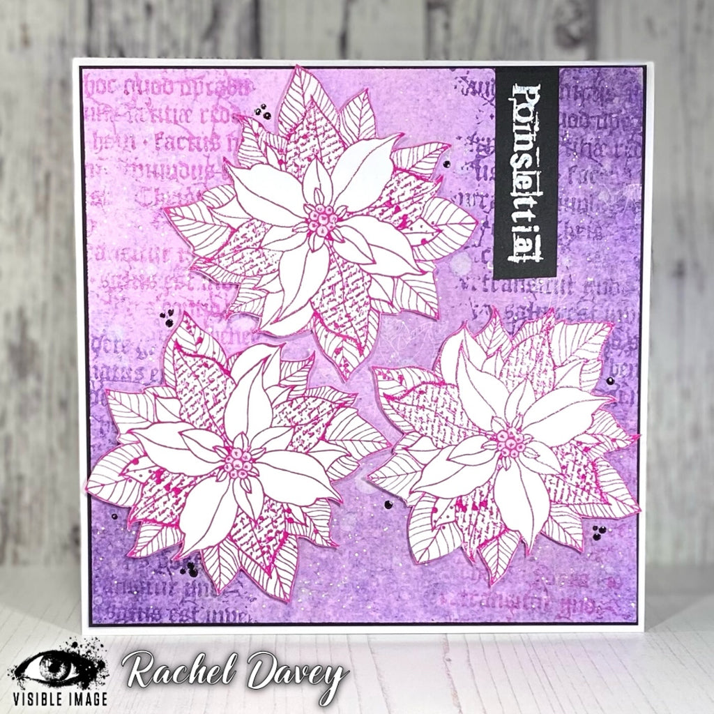 Visible Image - A6 - Clear Polymer Stamp Set - Poinsettia Grunge (retired)