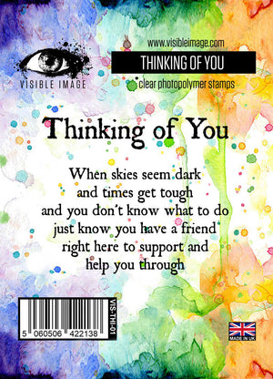Visible Image - Thinking of You - Clear Polymer Stamp Set