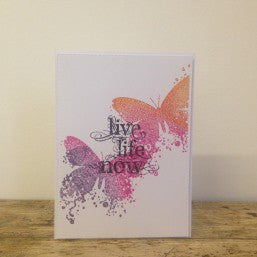 Visible Image - A6 - Clear Polymer Stamp Set - Live Life Now