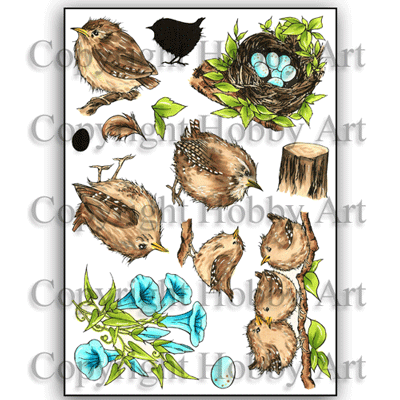 Hobby Art Stamps - Clear Polymer Stamp Set - A5 - Jenny Wren