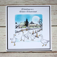 Hobby Art Stamps - Clear Polymer Stamp Set - A5 - Waddling in a Winter Wonderland