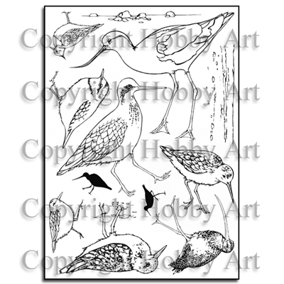 Hobby Art Stamps - Clear Polymer Stamp Set - A5 - Water's Edge