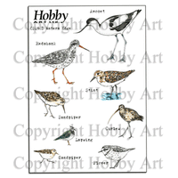 Hobby Art Stamps - Clear Polymer Stamp Set - A5 - Water's Edge
