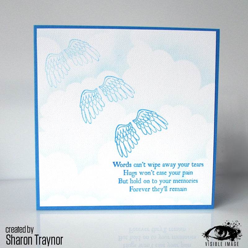 Visible Image - Accessorize - Clear Polymer Stamp Set
