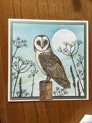 Hobby Art Stamps - Clear Polymer Stamp Set - Oliver Owl