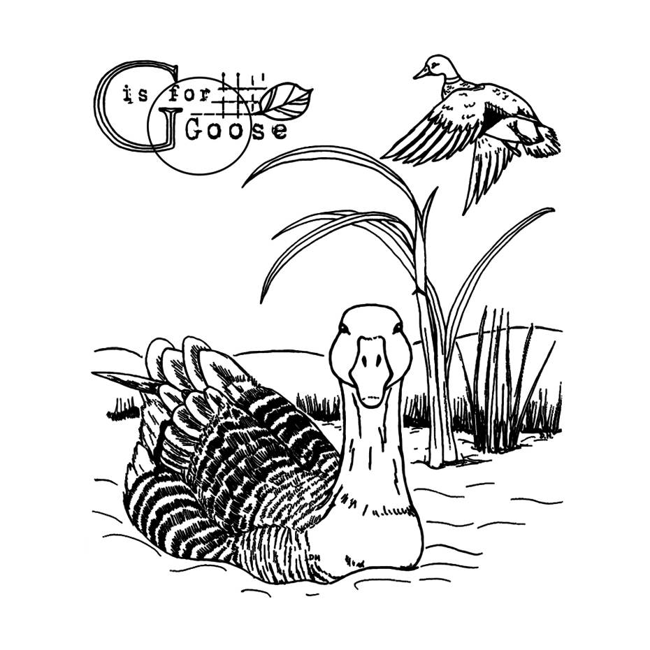 Crafty Individuals - Unmounted Rubber Stamp - 603 - G is for Goose