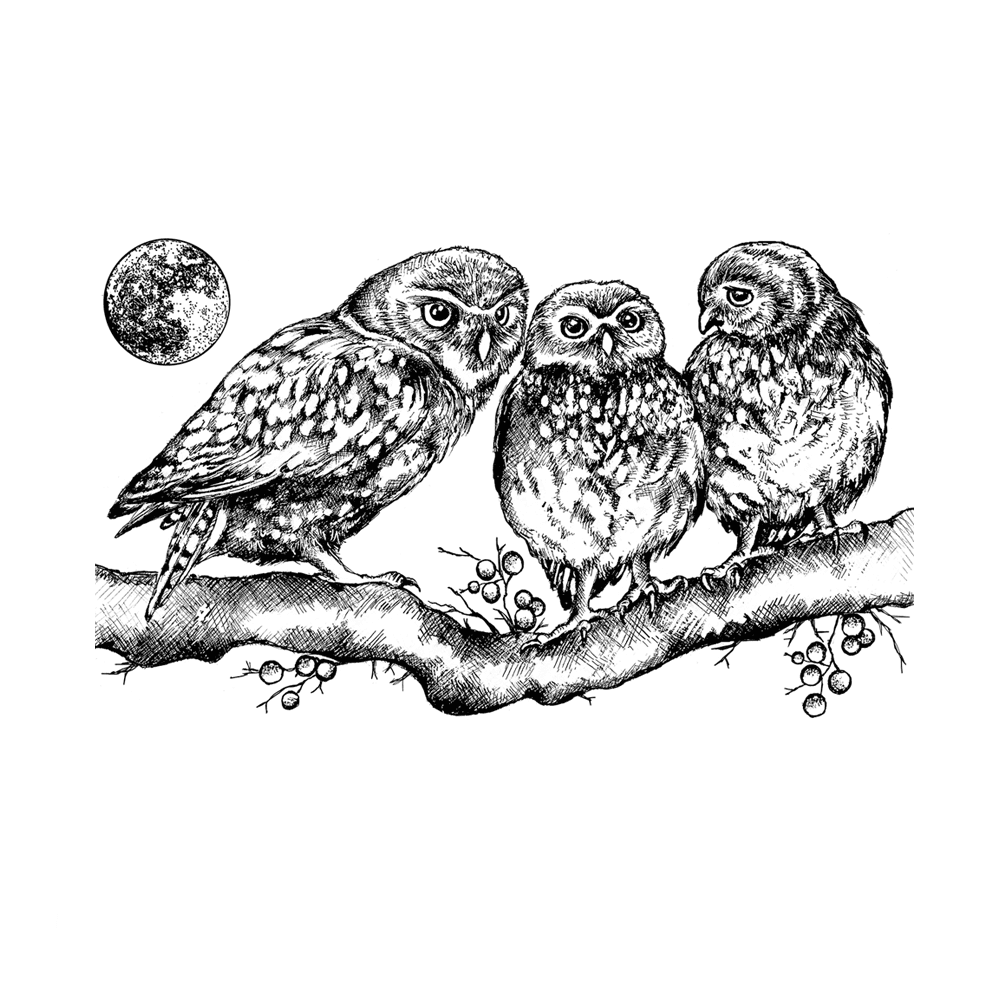 Crafty Individuals - Unmounted Rubber Stamp - 513 - Owl Family