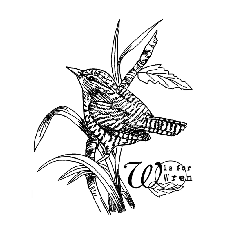 Crafty Individuals - Unmounted Rubber Stamp - 604 - W is for Wren