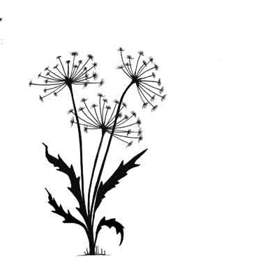 Lavinia - Dandelions 2 - Clear Polymer Stamp