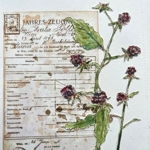 PaperArtsy - Alison Bomber 24 - Blackberries - Rubber Cling Mounted Stamp Set