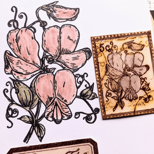 PaperArtsy - Scrapcosy 32 - Rubber Cling Mounted Stamp Set